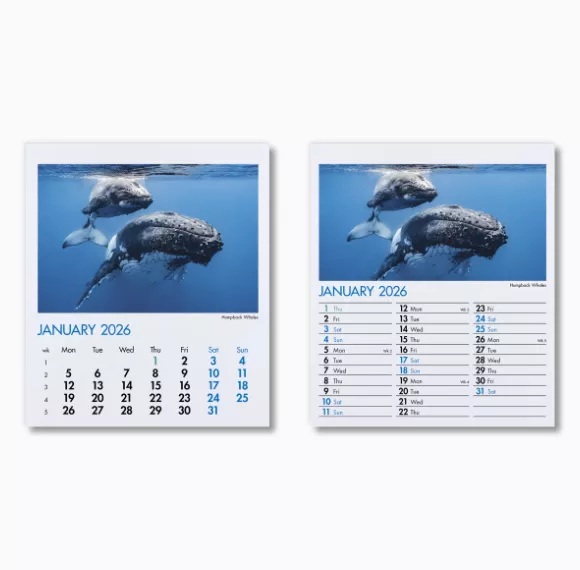 300015-blue-planet-mini-desk-calendar-january.png