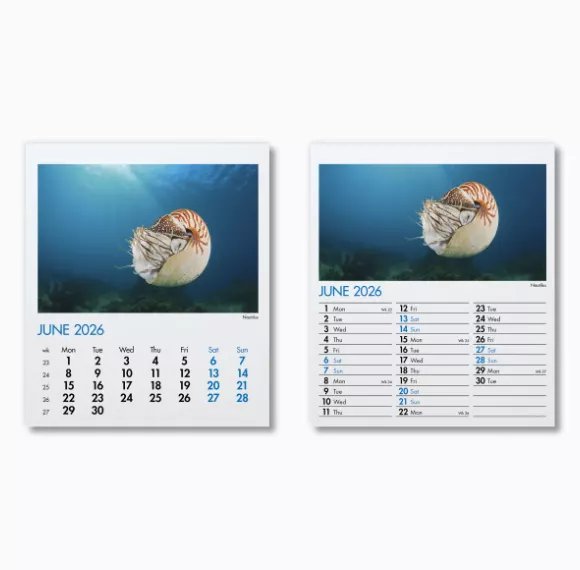 300015-blue-planet-mini-desk-calendar-june.png