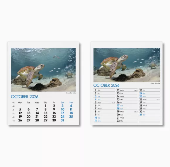 300015-blue-planet-mini-desk-calendar-october.png