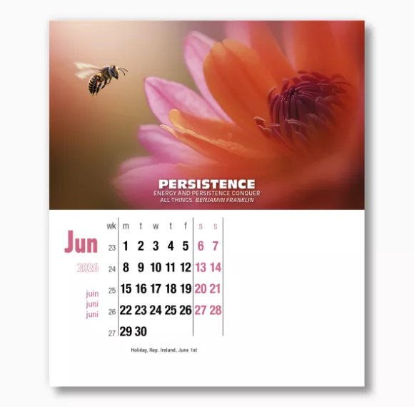 400015-inspirations-cd-calendar-june.png
