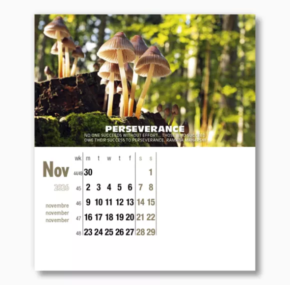 400015-inspirations-cd-calendar-november.png