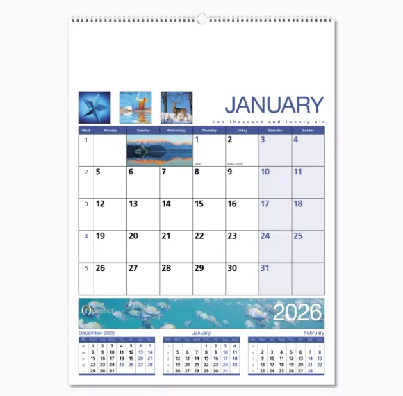 601515-organiser-wall-calendar-january-wiro.png