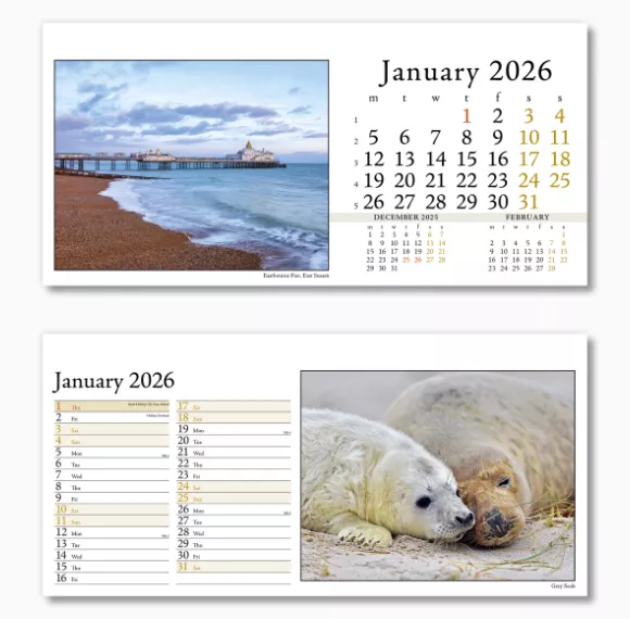 804715-photo-life-desk-calendar-january.png