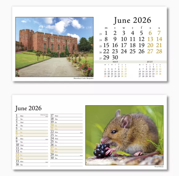 804715-photo-life-desk-calendar-june.png