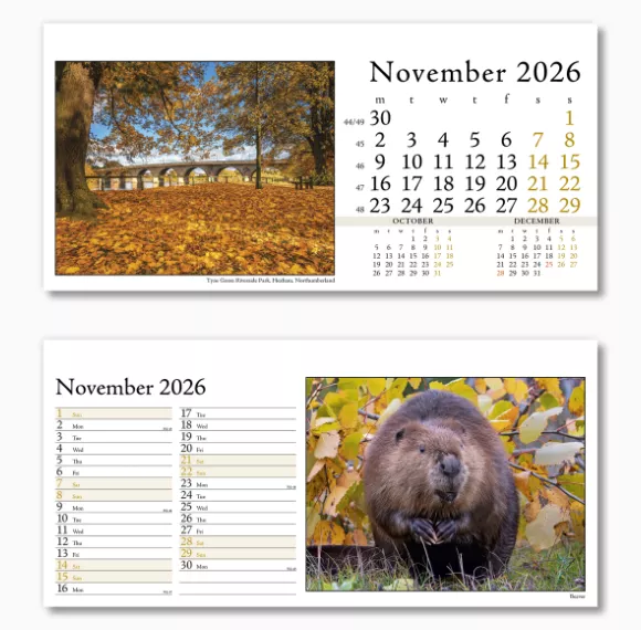 804715-photo-life-desk-calendar-november.png