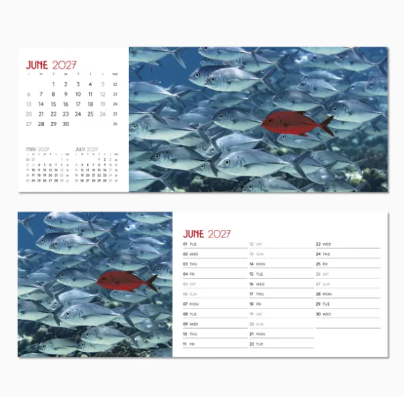 NDL015-a-touch-of-colour-desk-calendar-june.png