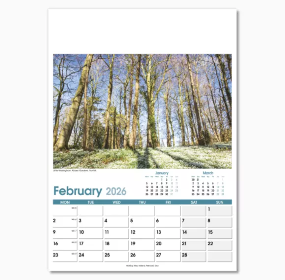 NWO004-british-planner-optima-wall-calendar-february.png
