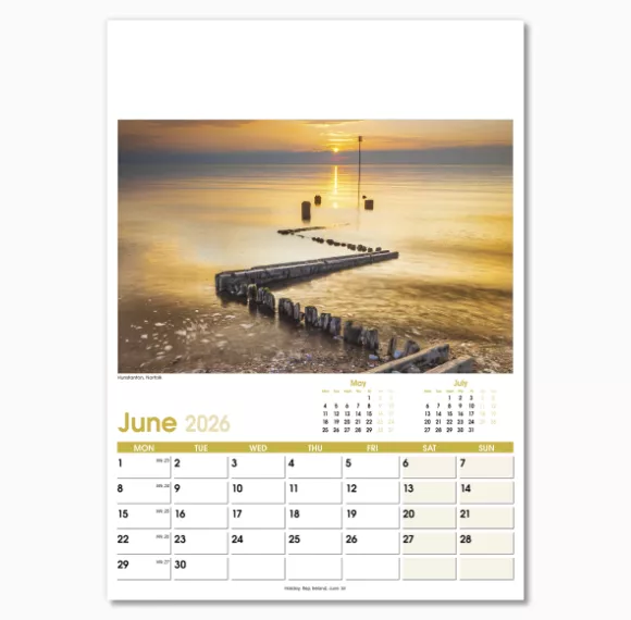 NWO021-aspects-optima-wall-calendar-june.png