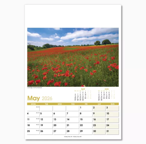NWO021-aspects-optima-wall-calendar-may.png