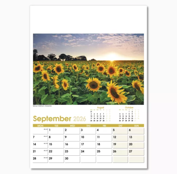 NWO021-aspects-optima-wall-calendar-september.png