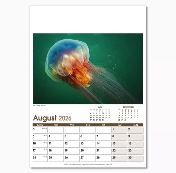 NWO053-rural-life-optima-wall-calendar-august.png