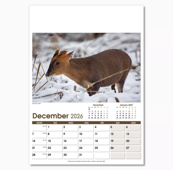 NWO053-rural-life-optima-wall-calendar-december.png