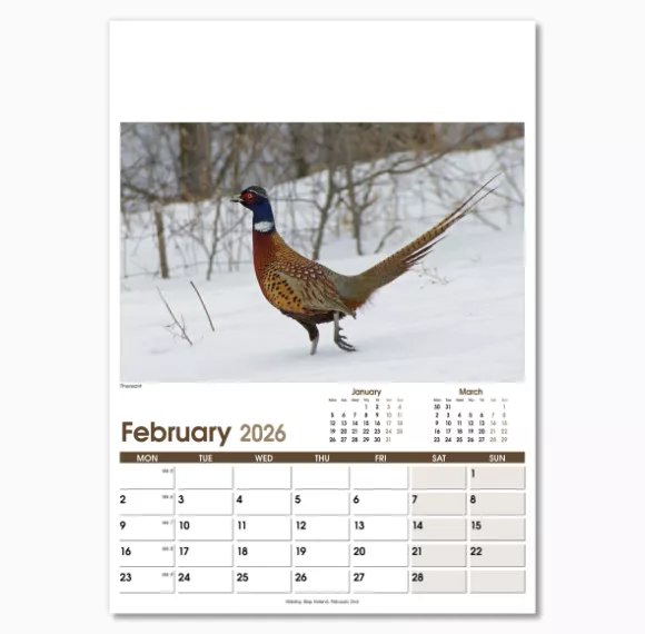 NWO053-rural-life-optima-wall-calendar-february.png