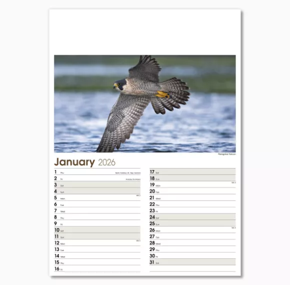 NWO053-rural-life-optima-wall-calendar-january-memo.png