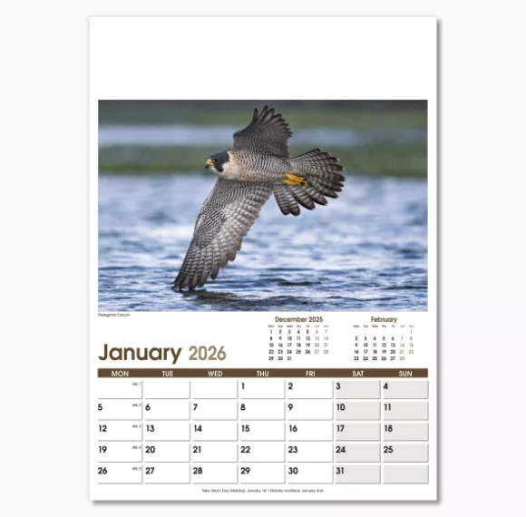 NWO053-rural-life-optima-wall-calendar-january.png