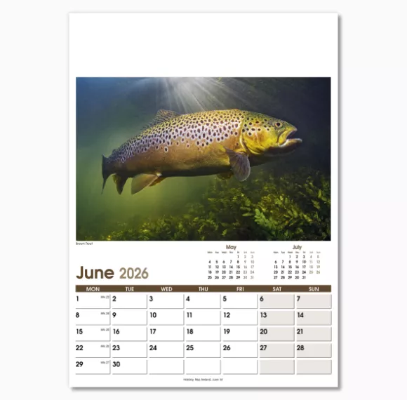 NWO053-rural-life-optima-wall-calendar-june.png