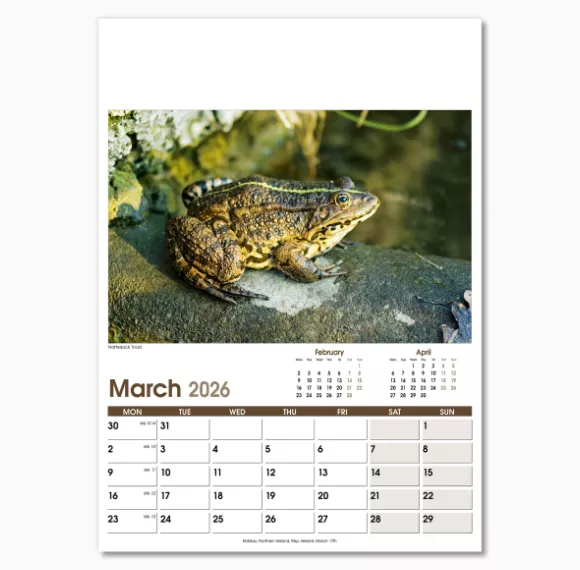 NWO053-rural-life-optima-wall-calendar-march.png
