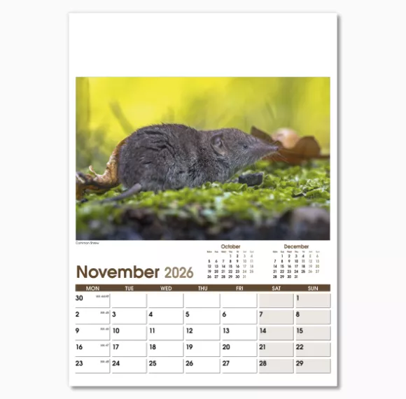 NWO053-rural-life-optima-wall-calendar-november.png