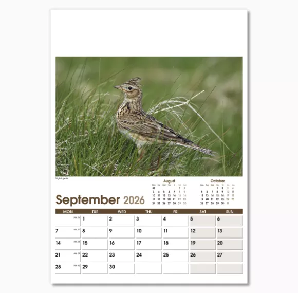 NWO053-rural-life-optima-wall-calendar-september.png
