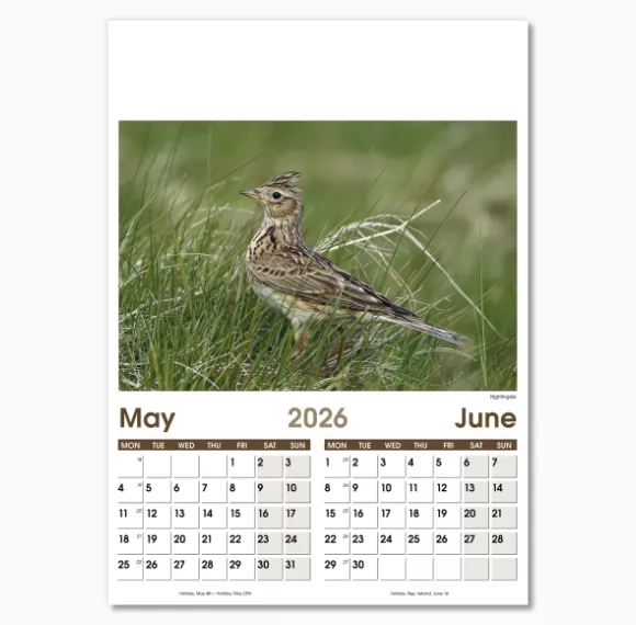 NWO057-7-leaf-rural-life-optima-wall-calendar-may-jun.png