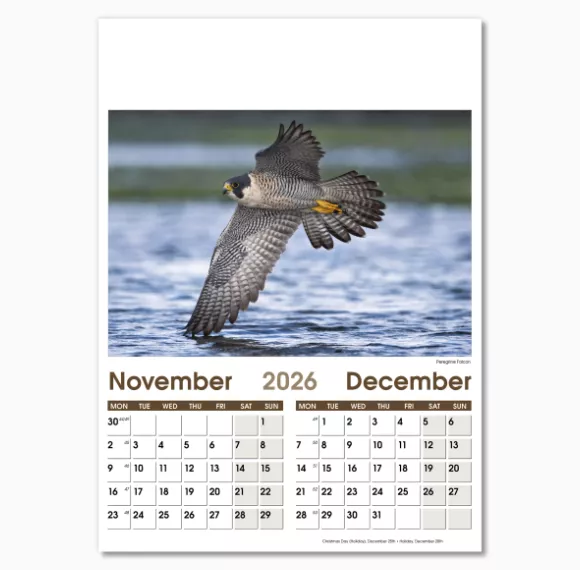 NWO057-7-leaf-rural-life-optima-wall-calendar-nov-dec.png