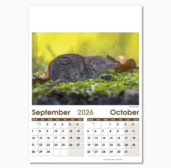 NWO057-7-leaf-rural-life-optima-wall-calendar-sep-oct.png