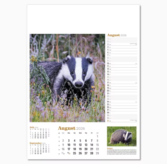 NWP324-wildlife-in-britain-wall-calendar-august.png