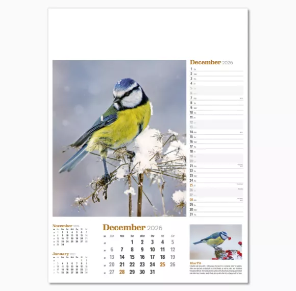 NWP324-wildlife-in-britain-wall-calendar-december.png