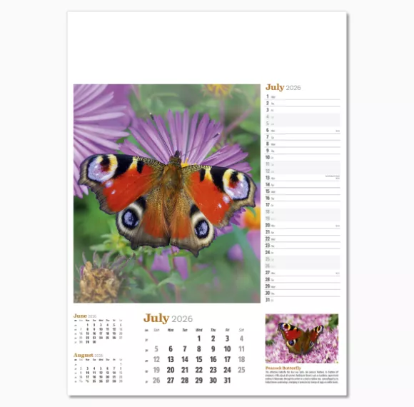 NWP324-wildlife-in-britain-wall-calendar-july.png