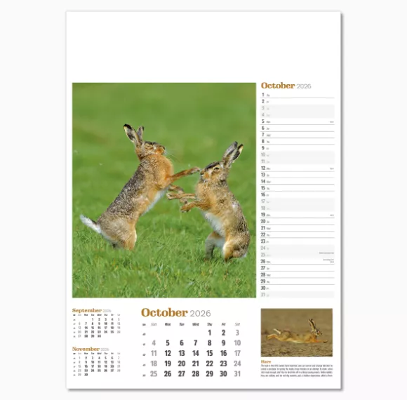 NWP324-wildlife-in-britain-wall-calendar-october.png