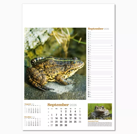 NWP324-wildlife-in-britain-wall-calendar-september.png