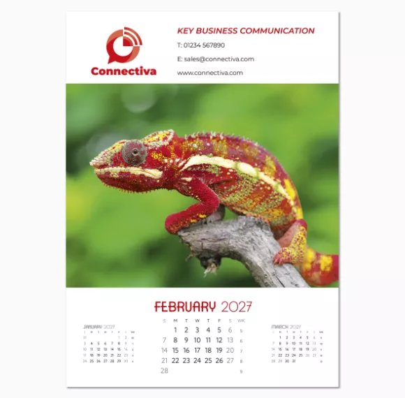 NWP325-a-touch-of-colour-wall-calendar-february.png