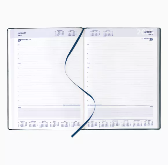 a4-diary-page-a-day-inside-white-pages.png