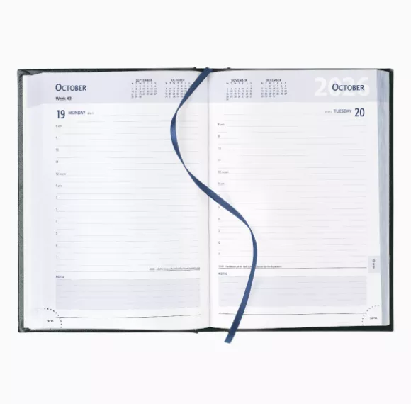 a5-diary-page-a-day-inside-white-pages.png