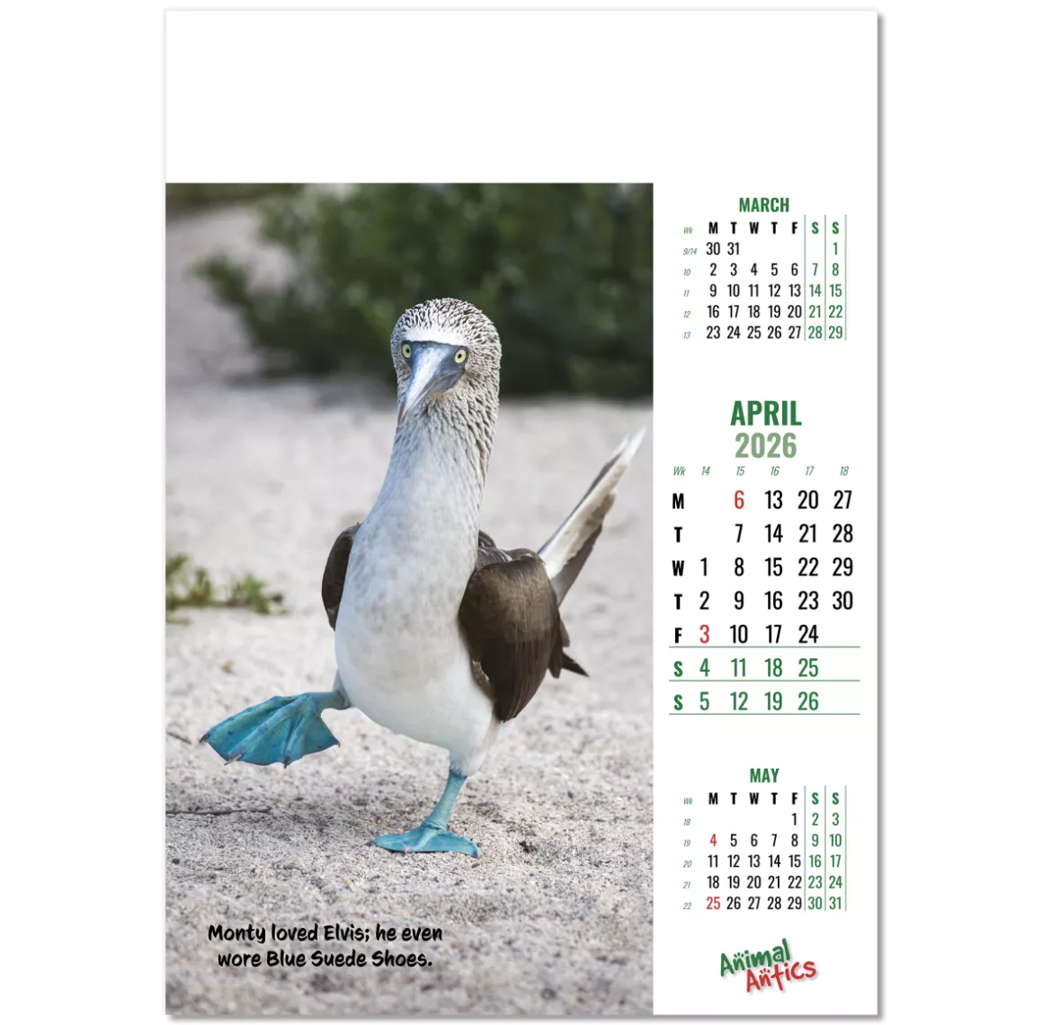 100215-animal-antics-wall-calendar-april.png
