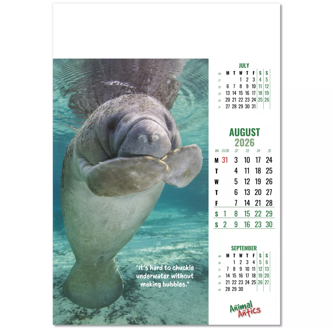 100215-animal-antics-wall-calendar-august.png