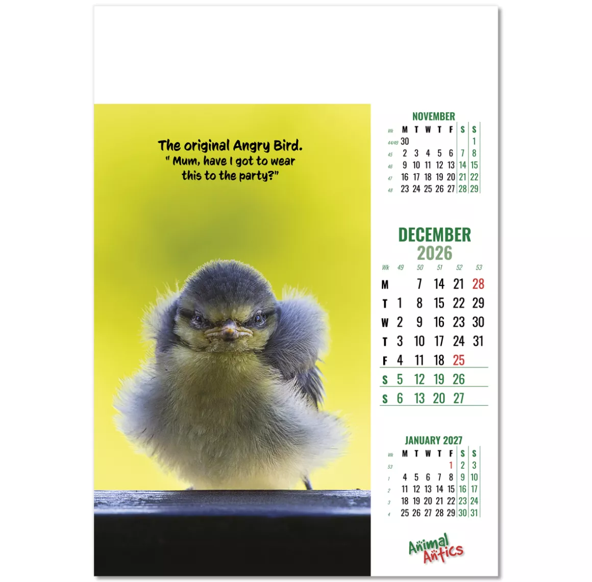 100215-animal-antics-wall-calendar-december.png