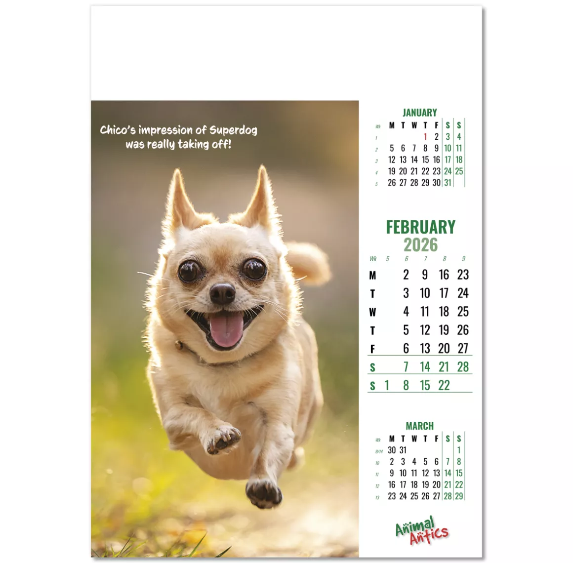 100215-animal-antics-wall-calendar-february.png