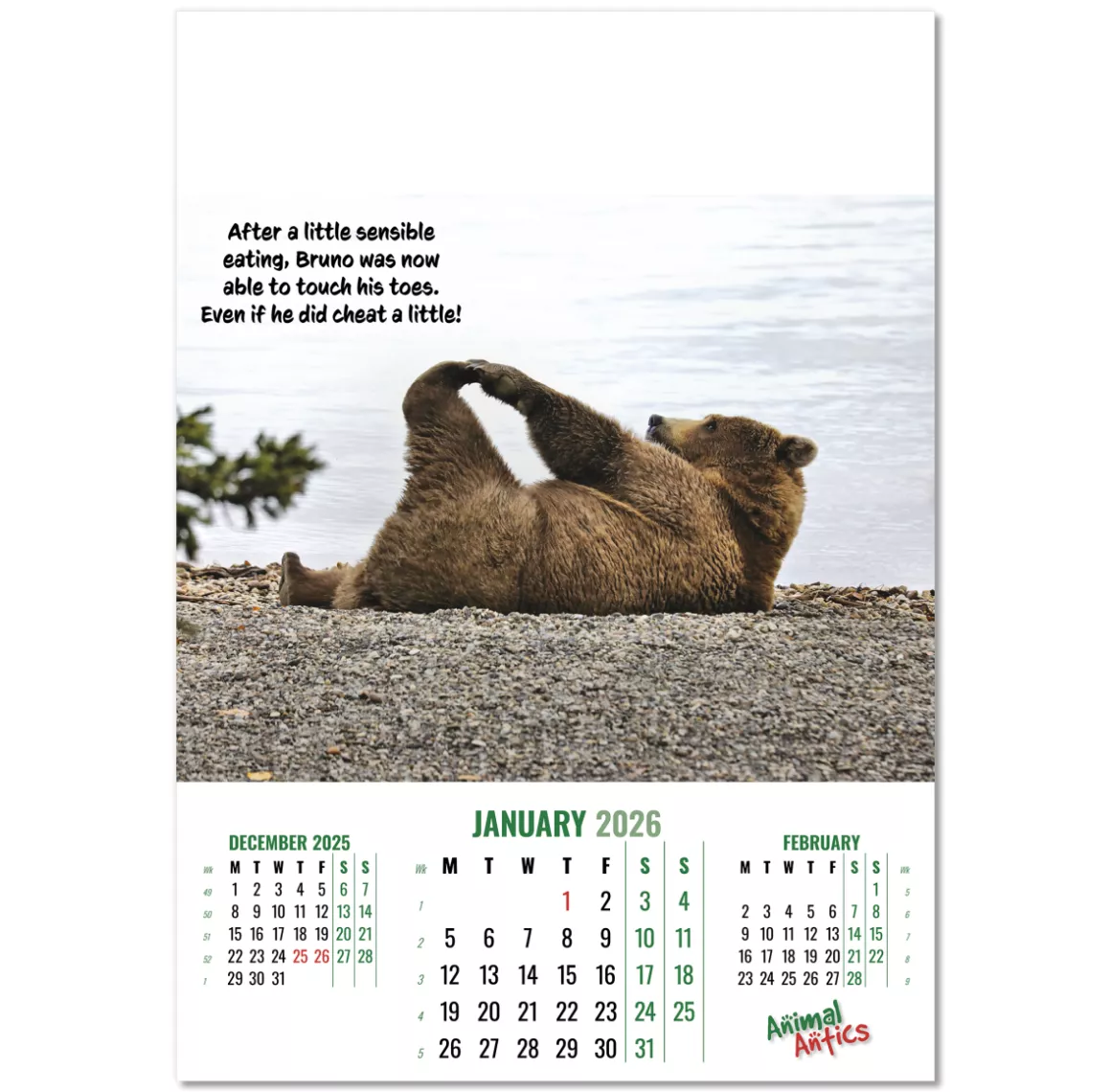 100215-animal-antics-wall-calendar-january.png