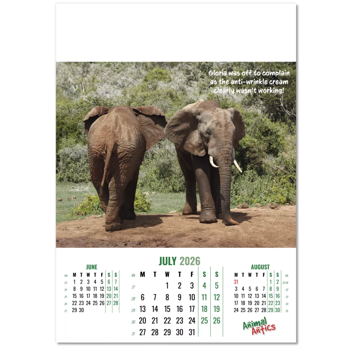 100215-animal-antics-wall-calendar-july.png