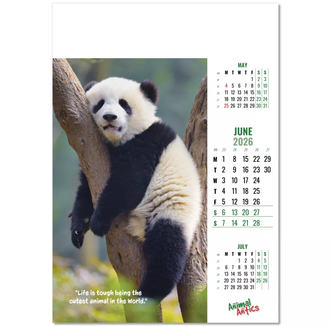 100215-animal-antics-wall-calendar-june.png