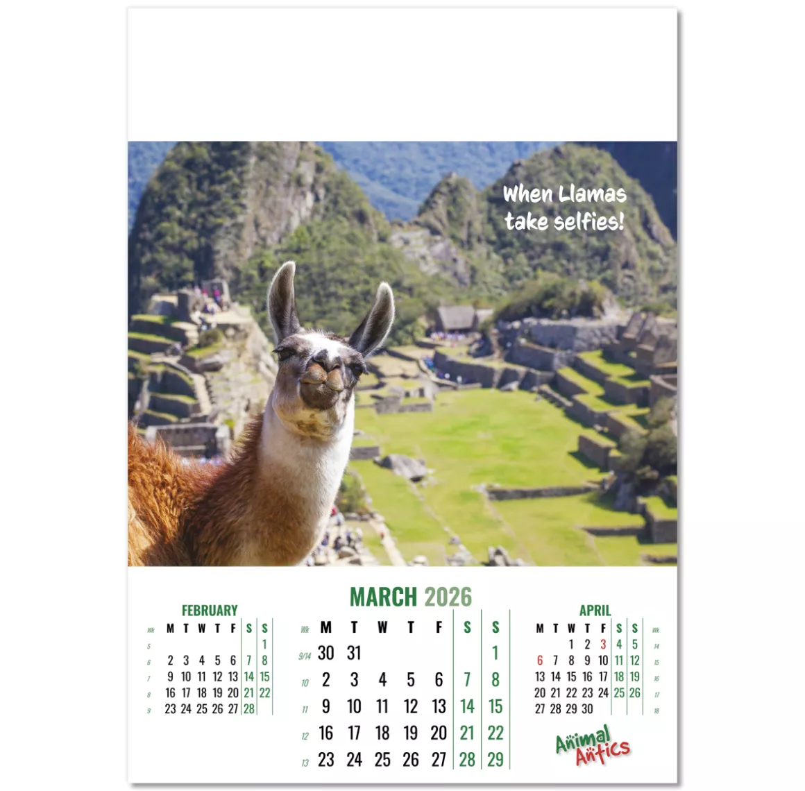 100215-animal-antics-wall-calendar-march.png