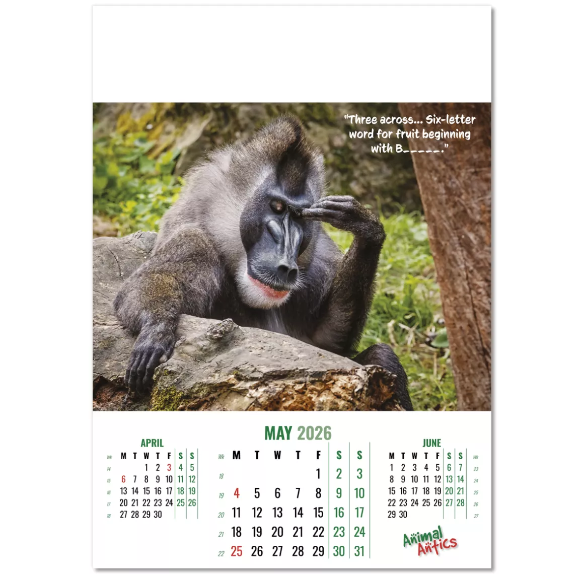 100215-animal-antics-wall-calendar-may.png
