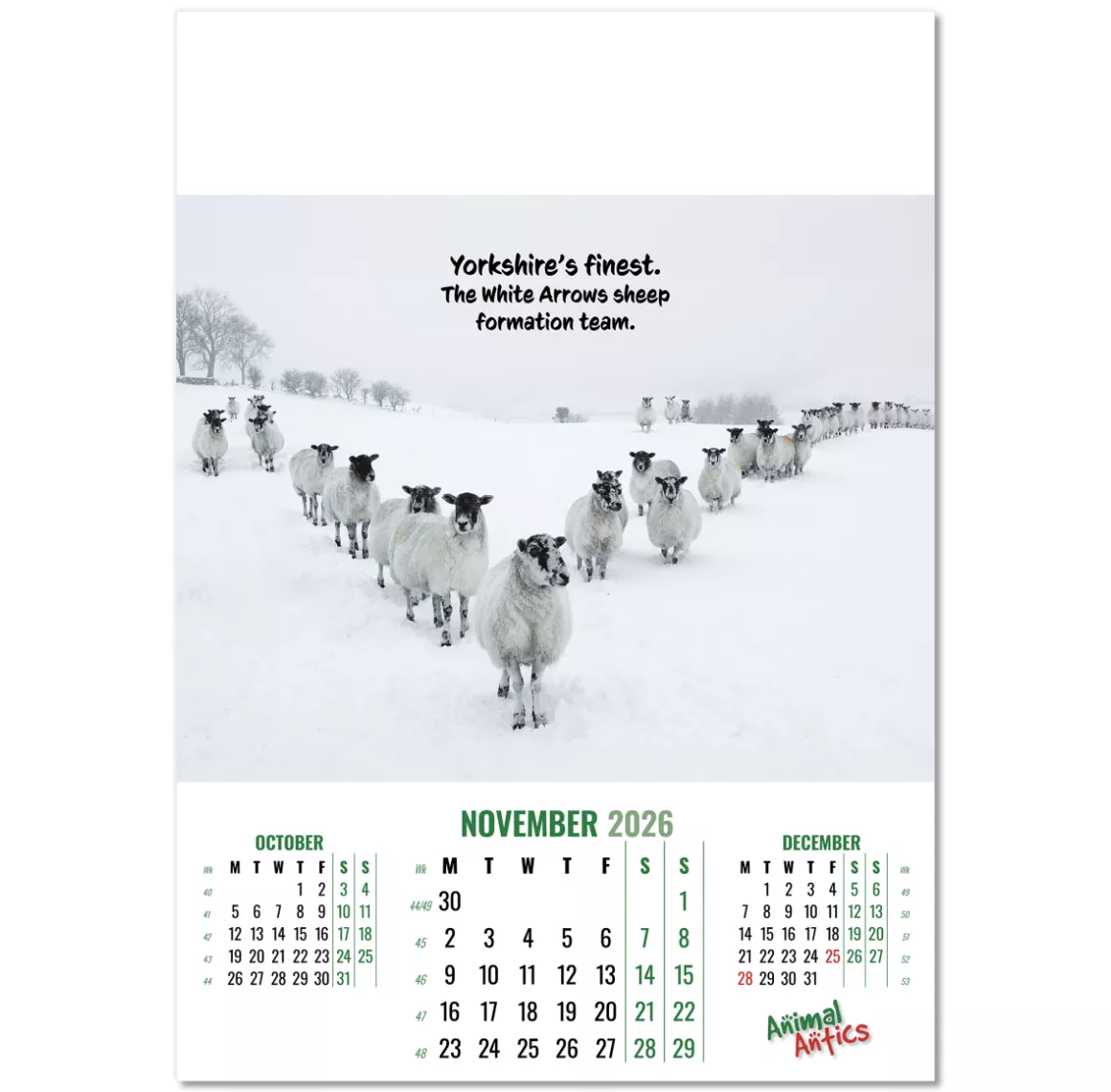 100215-animal-antics-wall-calendar-november.png