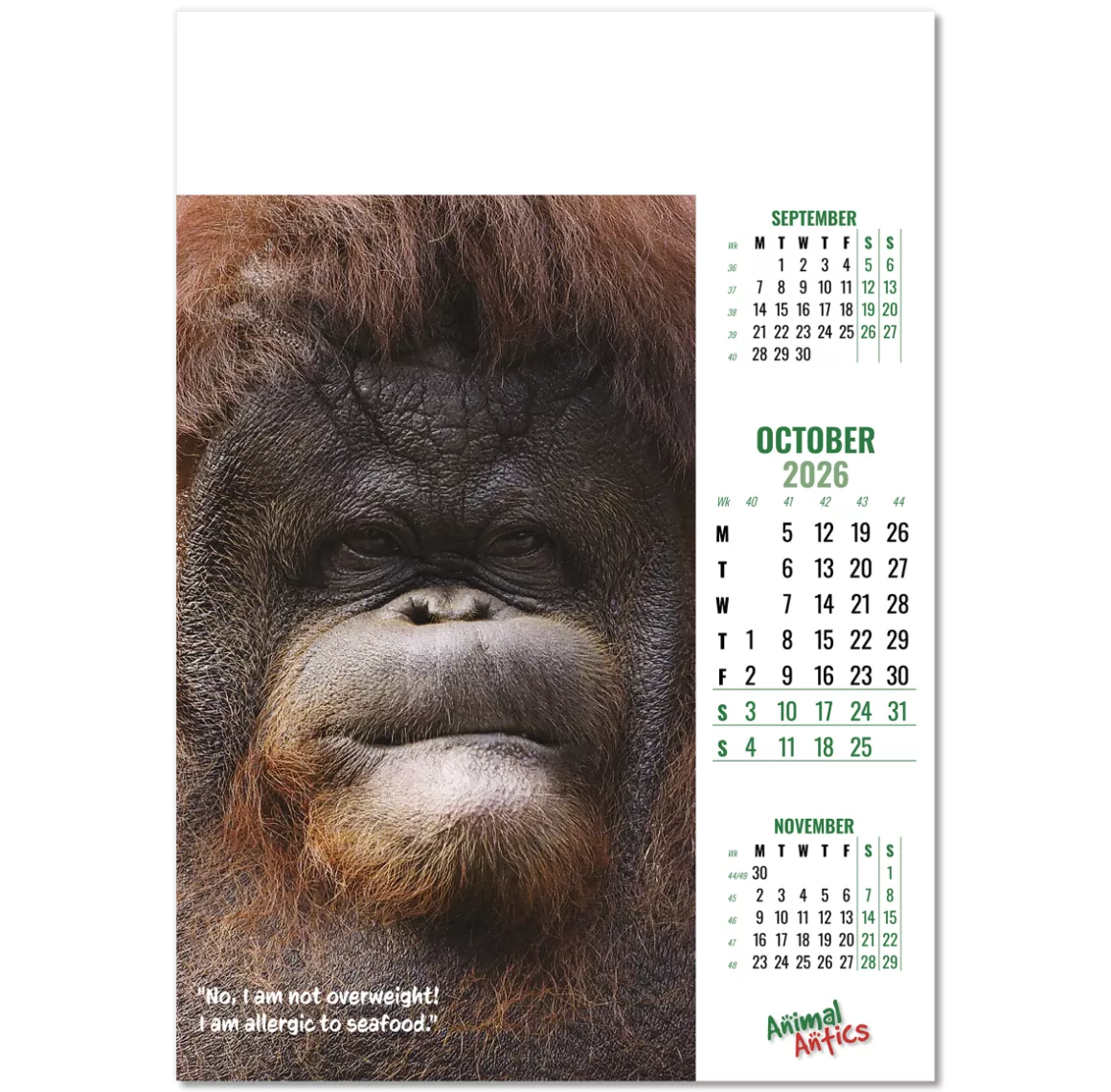 100215-animal-antics-wall-calendar-october.png