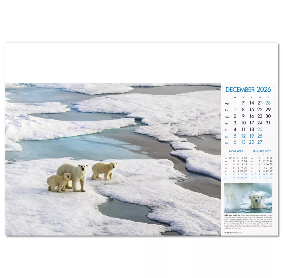 100815-blue-planet-wall-calendar-december.png