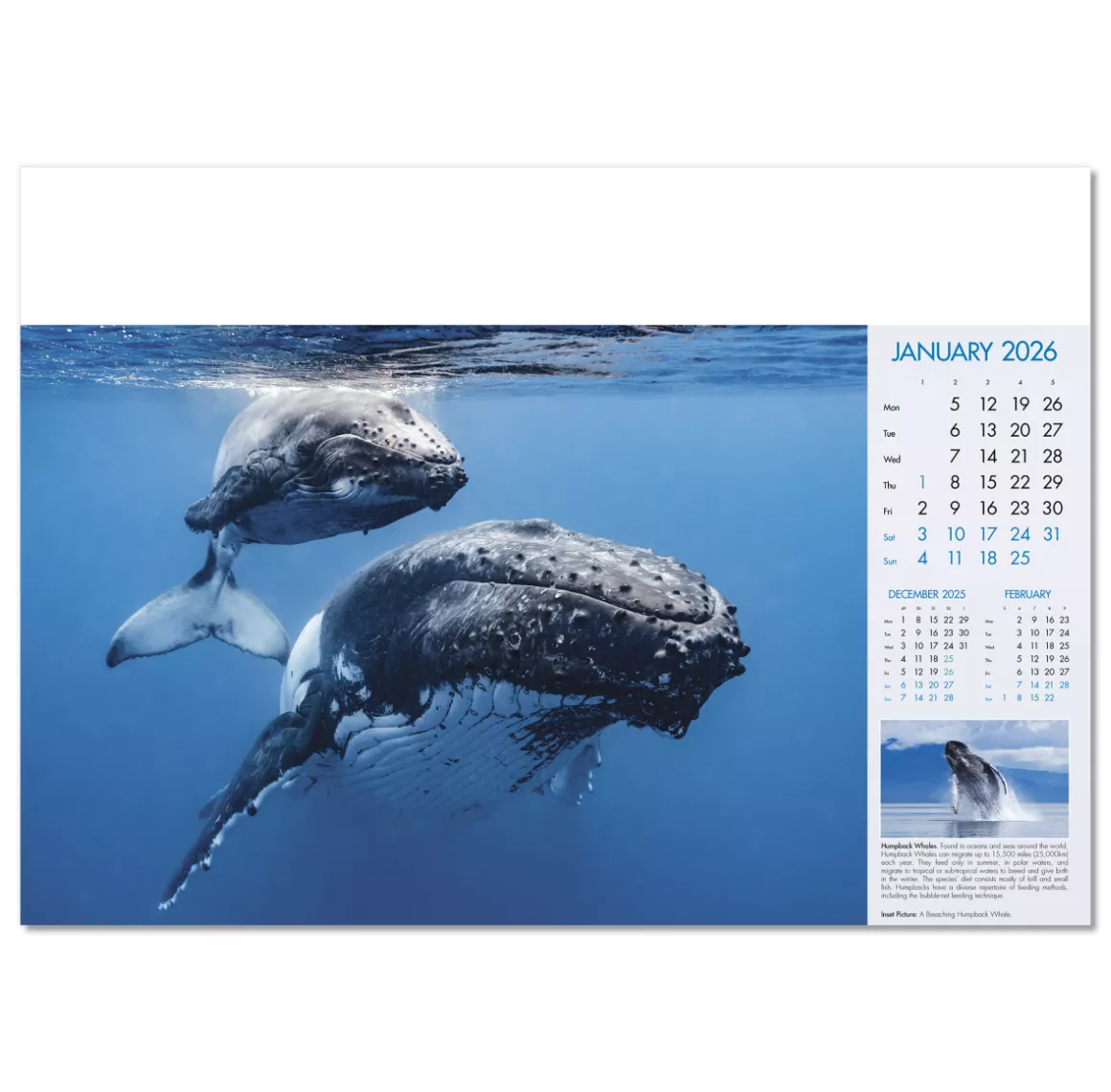 100815-blue-planet-wall-calendar-january.png