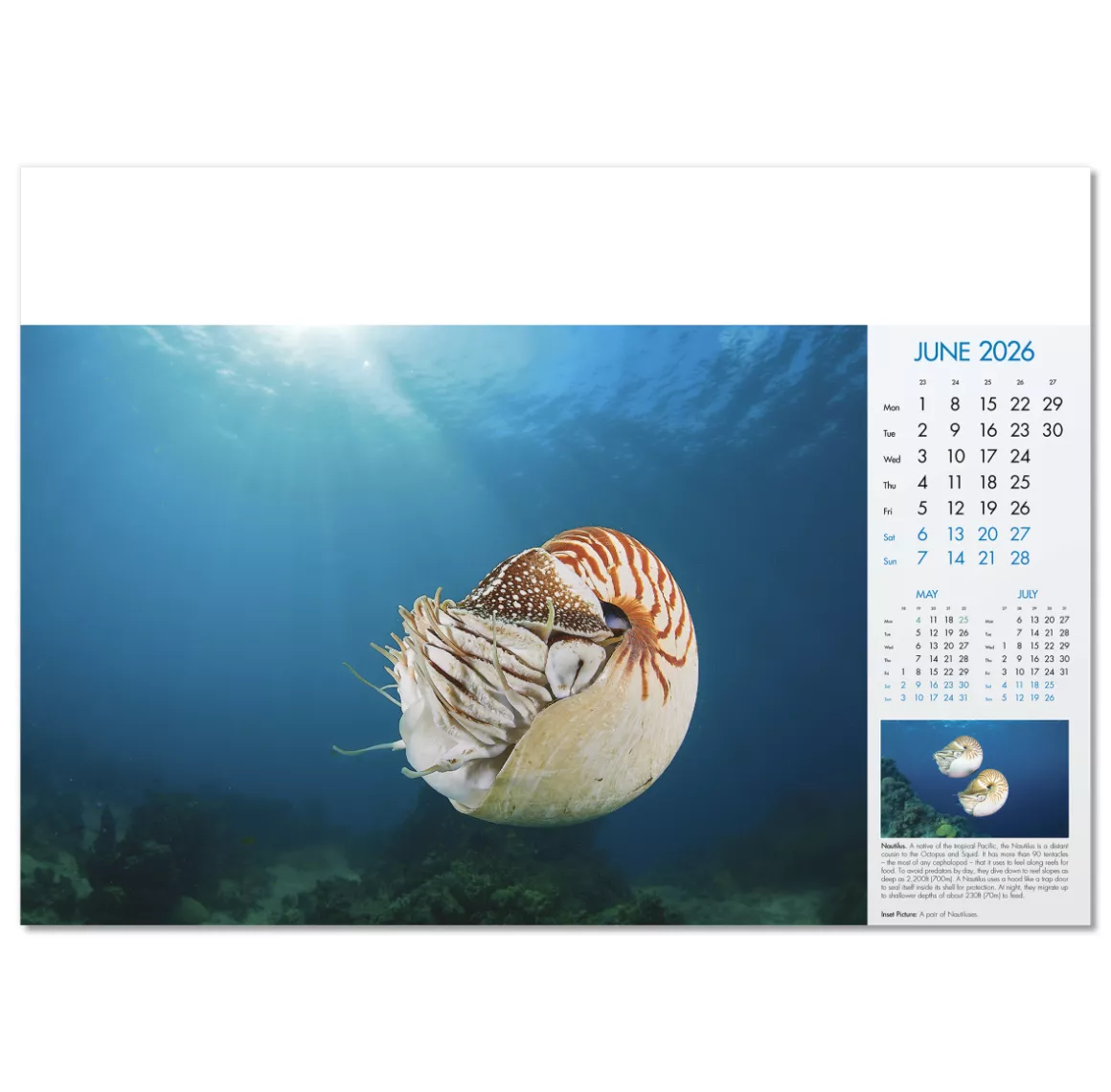 100815-blue-planet-wall-calendar-june.png