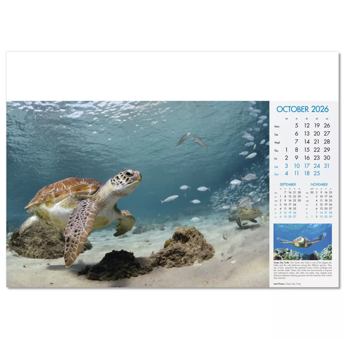 100815-blue-planet-wall-calendar-october.png