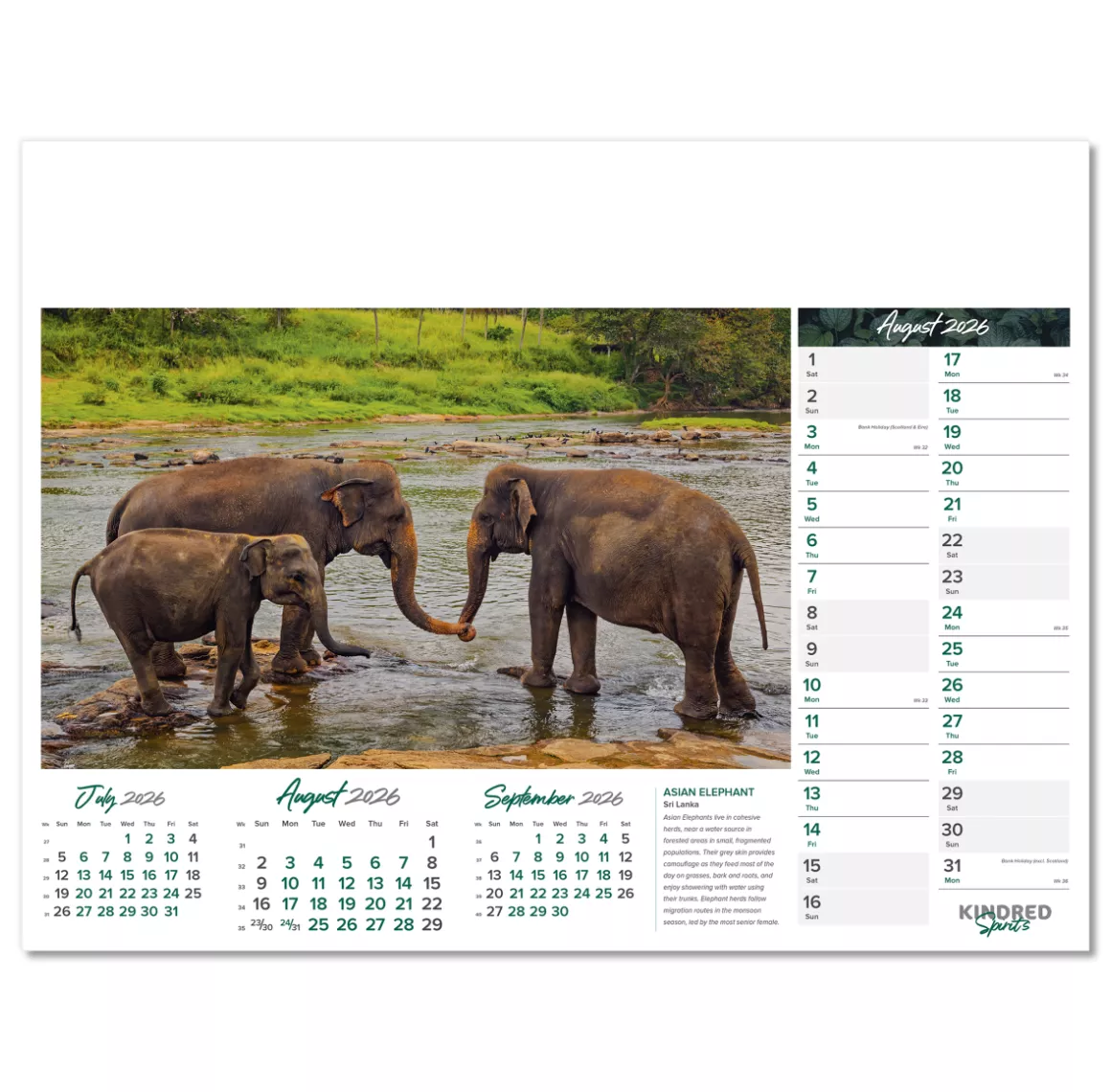101015-kindred-spirits-wall-calendar-august.png